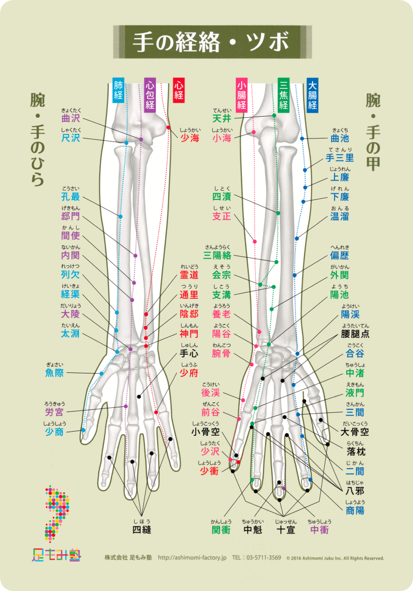 手の経絡・反射区図表