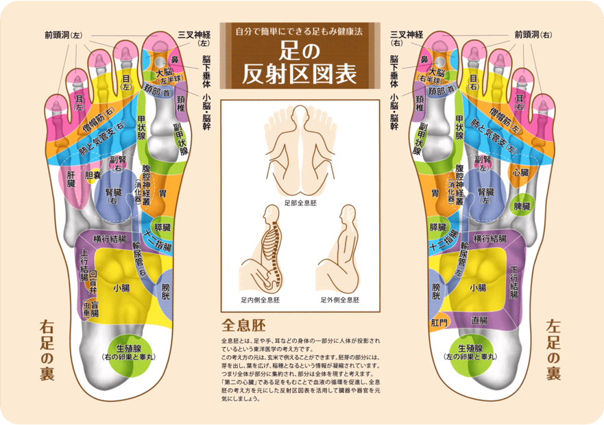 若石反射区図表