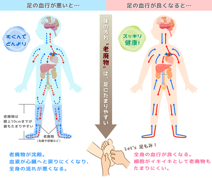 血行を良くする