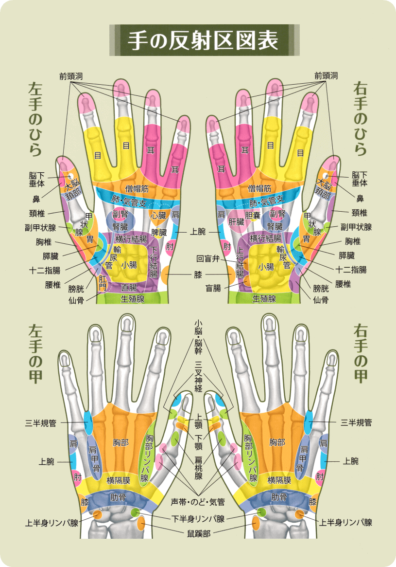 手の経絡・反射区図表