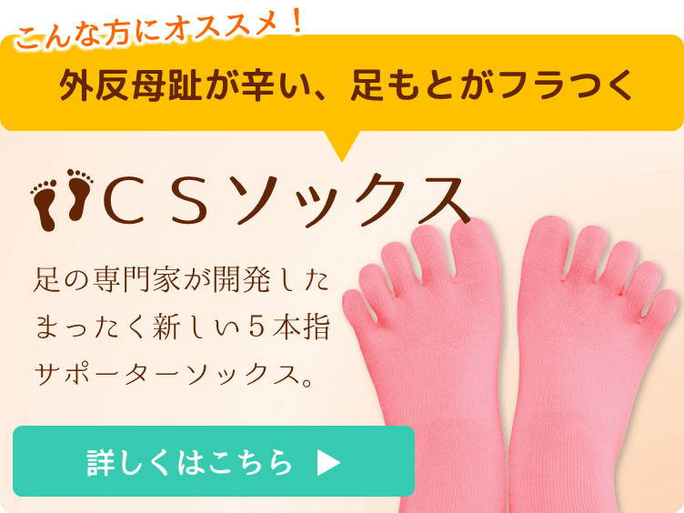 CSソックス